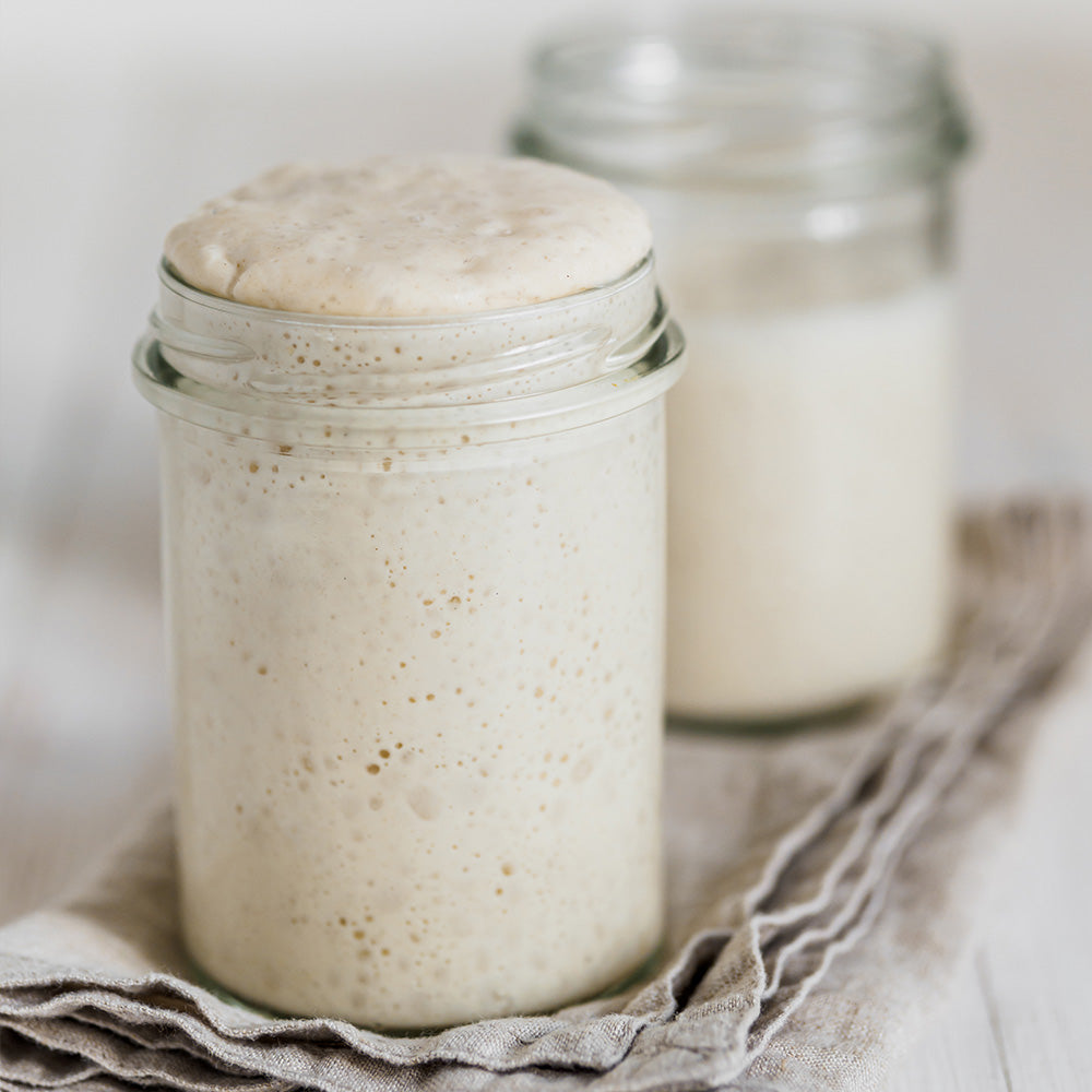 Bio Sauerteig Starter glutenfrei (150g) - verkürztes MHD