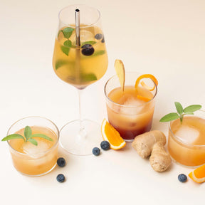 kombucha-rezeptbuch-fermentation-e-book-digital
