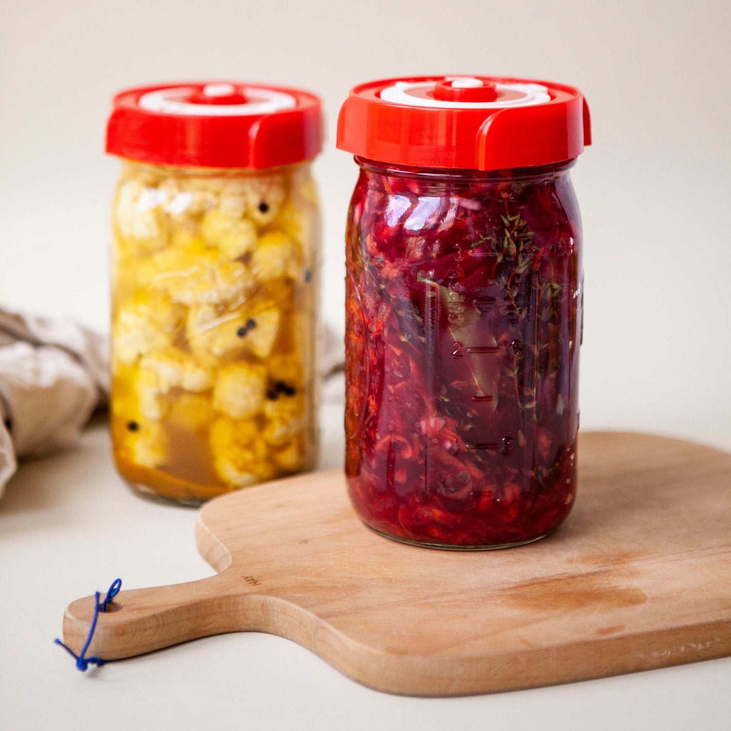 gemüse-rezeptbuch-fermentation-e-book-digital