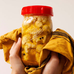 gemüse-rezeptbuch-fermentation-e-book-digital