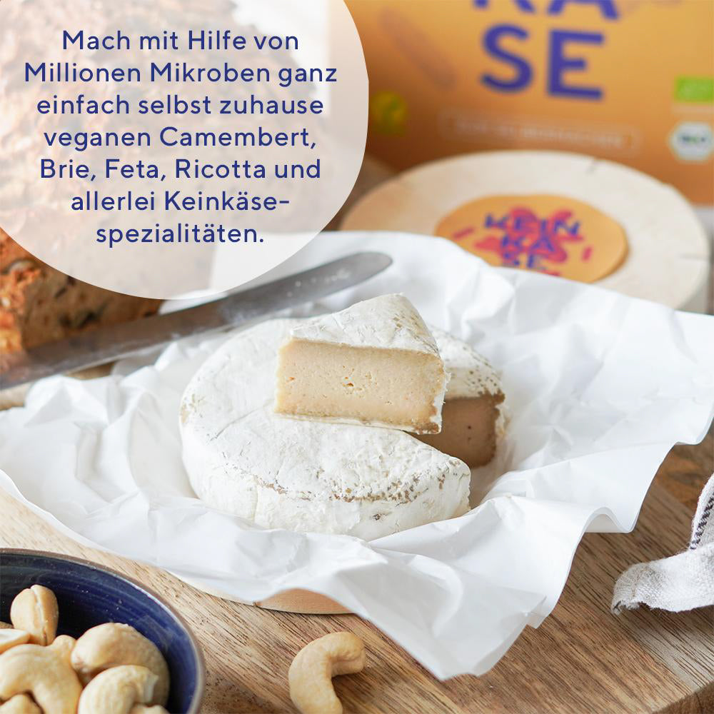5er-fairment-starter-kit-selbermachen-fermentieren-kombucha-vegan