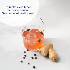 kombucha-rezeptbuch-fermentation-e-book-digital