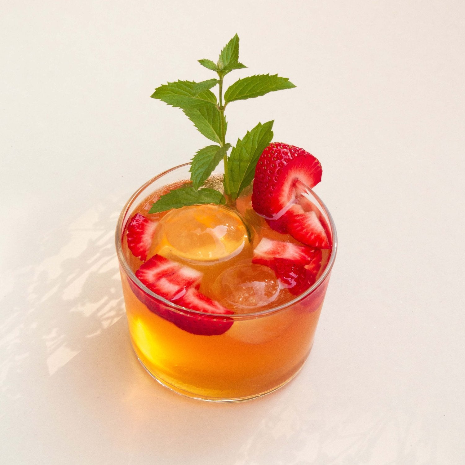 kombucha-rezeptbuch-fermentation-e-book-digital