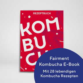 kombucha-rezeptbuch-fermentation-e-book-digital