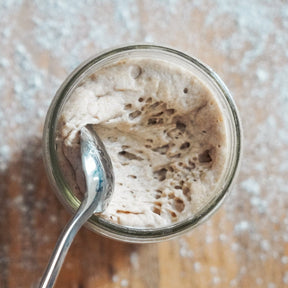 Roggensauerteig, Sauerteigbrot backen, Sauerteig Starter, Sauerteig Ansatz, Sauerteig, fairment, veganer Sauerteig, vegan, bio, fermentation, fermentiert, brot backen