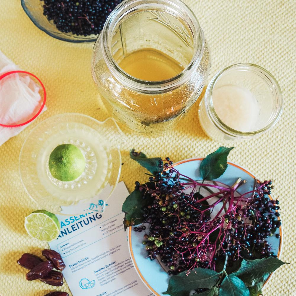 Japankristalle, Kefir kristalle, Kefir Kultur, Wasserkefir, Wasserkefir kristalle, Tibicus, bio kultur, vegan, fairment, fermentation, fermentieren, fermentiert