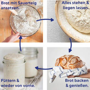 Roggensauerteig, Sauerteigbrot backen, Sauerteig Starter, Sauerteig Ansatz, Sauerteig, fairment, veganer Sauerteig, vegan, bio, fermentation, fermentiert, brot backen