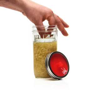 fermentieren rezepte, glasgewichte, fermentation, fermente, fermentationsgewichte, fairment, sauerkraut, kraut fermentieren