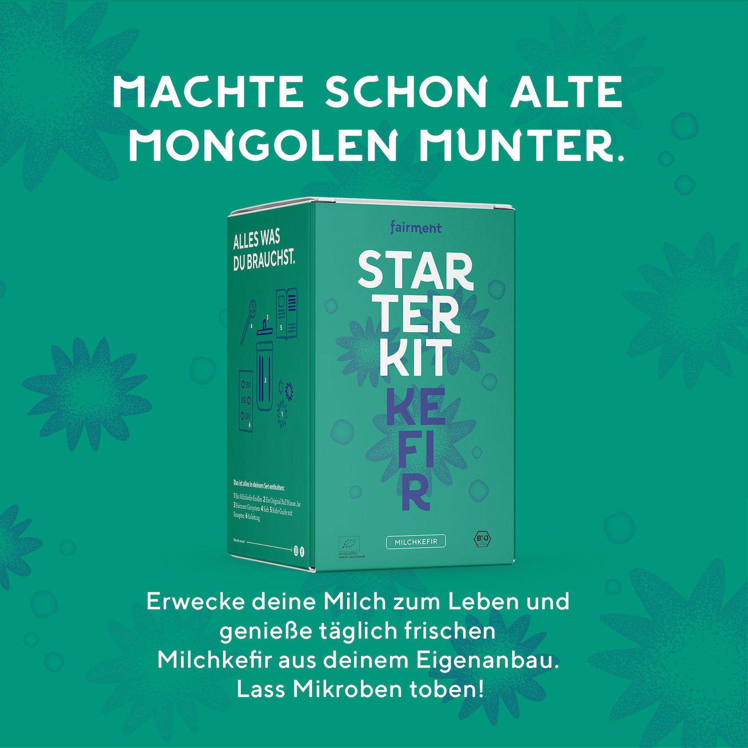 Milchkefir Starter Kit - Bio Milchkefir selbermachen (verkürztes MHD)