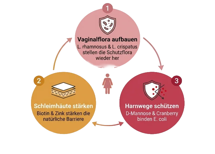 Triple Harmony Formel